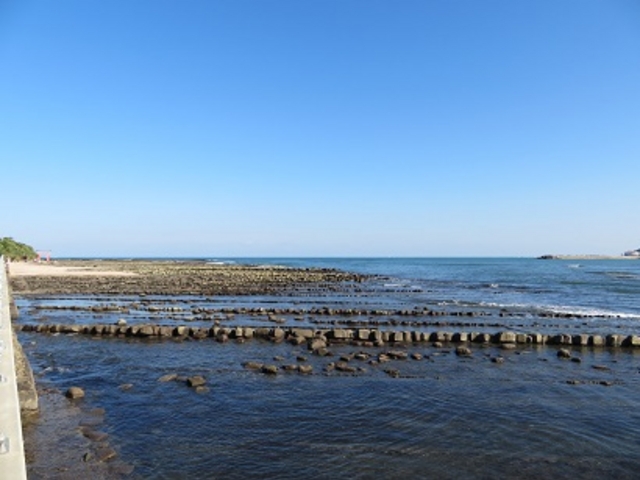 青島の隆起海床と奇形波蝕痕_青島の隆起海床と奇形波蝕痕