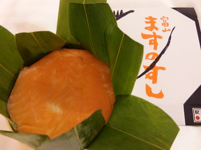 Hirotan̂܂̂{܌JRxRwX̓eʐ^2