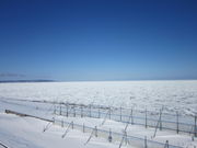 bippõIz[cNC̗X̓eʐ^1