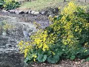 ߂̂̒̒ril{뉀j̓eʐ^1