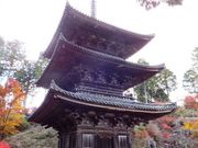 ���ڂ炳��̏�y���O�d���̓��e�ʐ^1