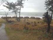 �T�r�L����̊ۉ��˖C��Ղ̓��e�ʐ^1