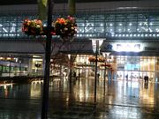 Hirotan̂܂̂{܌JRxRwX̓eʐ^1