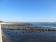 キヨさんの青島の隆起海床と奇形波蝕痕の投稿写真2