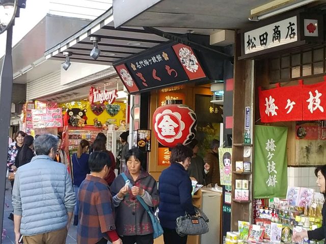 ��ɕ{�ɑ����Q���ɂ͐��\�̓X�܂�����A�˂Ă��܂��B�Ă����ĔM�X�̔~��}�݂��P�����ĐH�ו������܂���_�~���}��