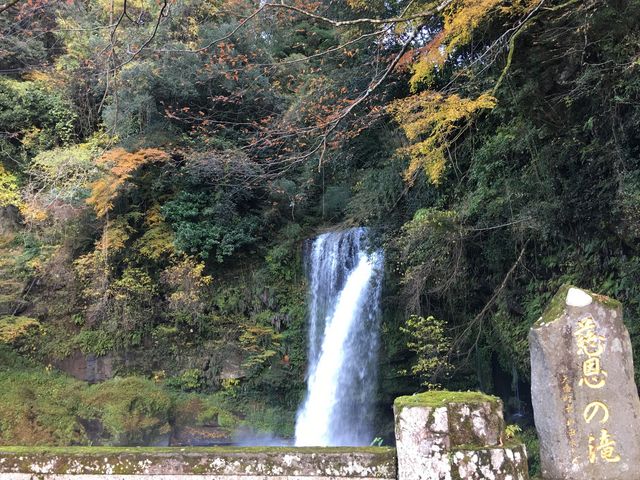 �����̑�_�����̑�