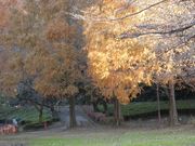 higekuma50̎lG̗̓eʐ^3