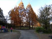 higekuma50̎lG̗̓eʐ^2