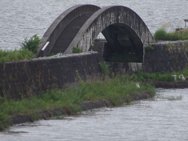 ���i��_��ÃT�[�r�X�G���A�i�����j