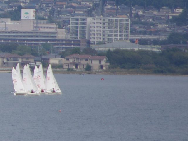 ��_�Ȃ��������̃V�o�U�N��