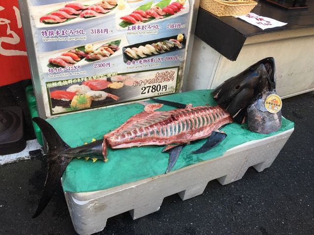 �V�N�Ȃ�������������I_�z�n��O�s��