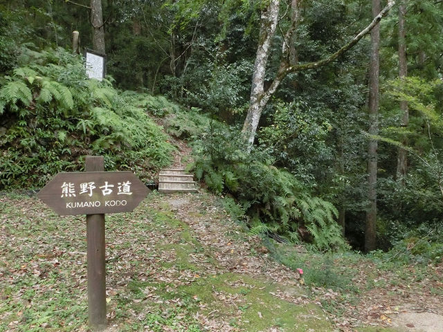 ���ӘH_�F��Ó�