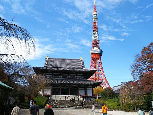 ���C�ɓ���̈ꖇ_�Ō����y�ё��㎛�����̍�