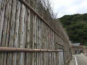 poporon̖OF̊Ԋ_̓eʐ^2