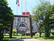 ܂낿񂳂̃jbJEXL[]s̓eʐ^2