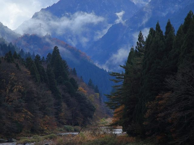 akio̔쉷o[fFnEX̓eʐ^1