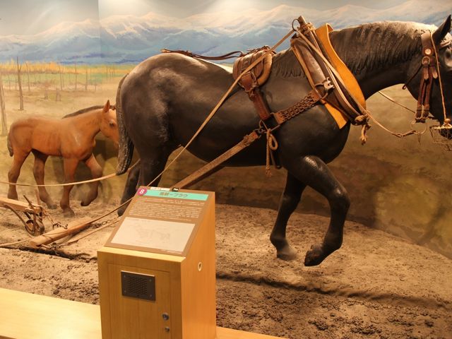 �n�ł̔_���_�n�̎�����