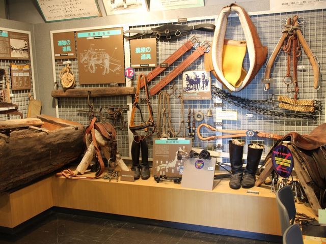 �n��̓W��_�n�̎�����