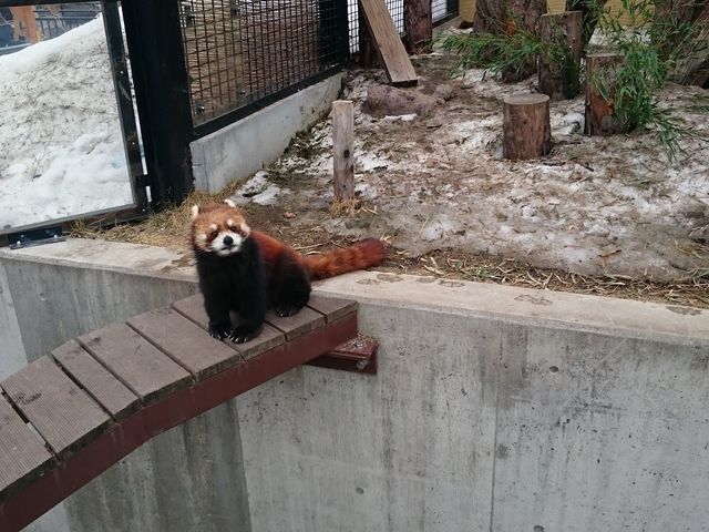 ���炵�����b�T�[�p���__���R������