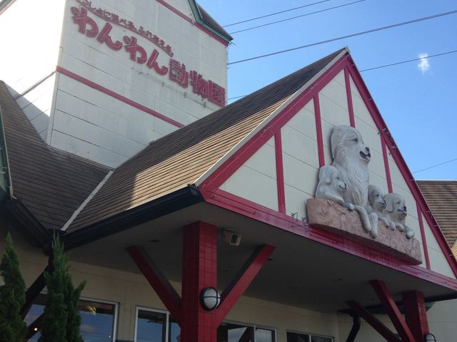 ����񓮕���_����񓮕���