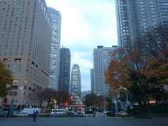 菊ちゃんさんの新宿中央公園の投稿写真1