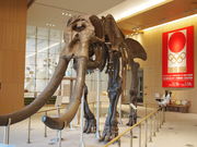 ˂񂳂MieMu Odق̓eʐ^8