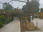 ܁[񂳂̕xmzR̓eʐ^1