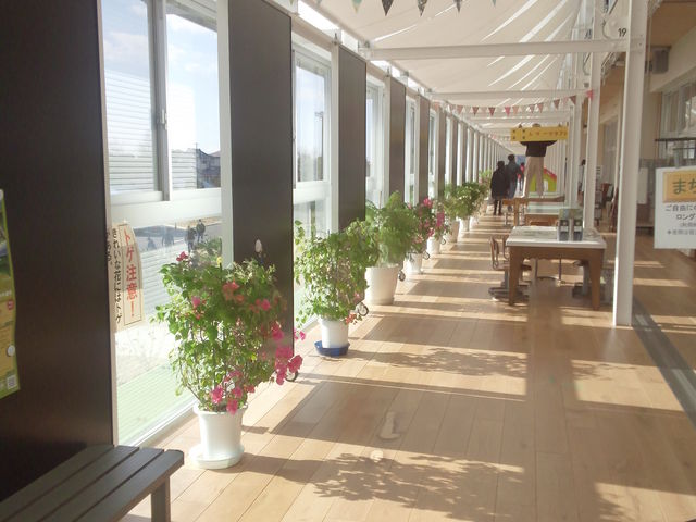 �ۓc���w�Z�R_���̉w �ۓc���w�Z