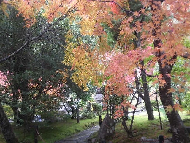 �h�ю��̍g�t_�h�ю�