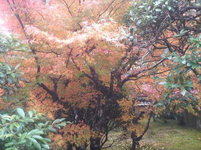 �h�ю��̍g�t_�h�ю�