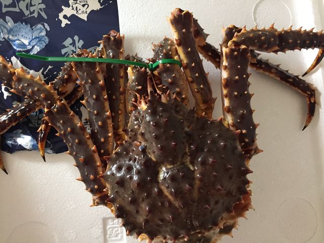 活き蟹のはずが死んでて家族でガッカリ_札幌市中央卸売市場場外市場