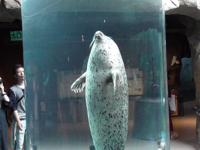 �����炵_���R������