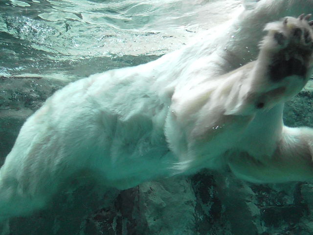 �k�ɌF_���R������