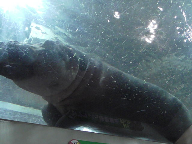 �J�o_���R������