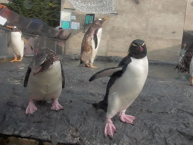 �y���M��_���R������