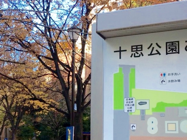 �\�v����_�\�v����