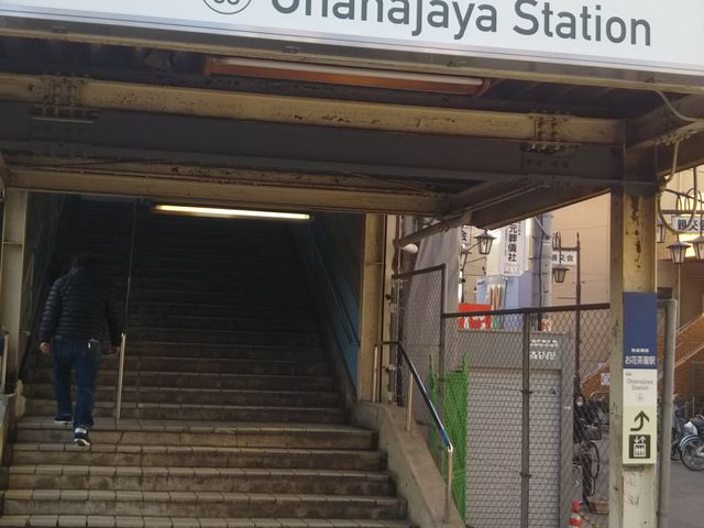 }NhihԒX̍Ŋw͋{Ԓw̉D炷B_}NhihԒX