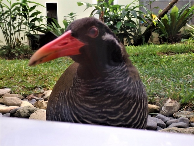 ����Ȃɋ߂��܂ŗ��Ă���܂�_�����o���N�C�i���ԓW���w�K�{��