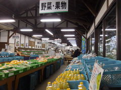 LOTTY̖؂̉ԃKeւ̓eʐ^1