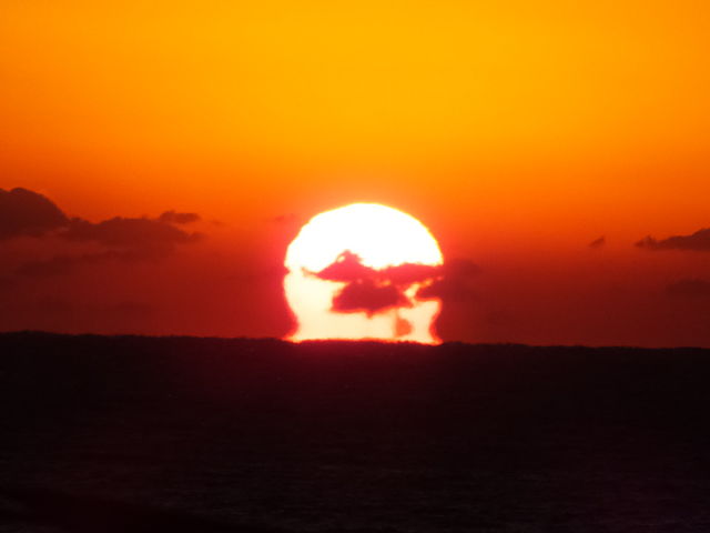 ^C~OǂΓv-16F40_x͘ptF[iy`^[~ij