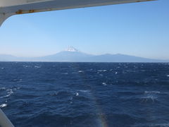 ̂񂳂̏x͘ptF[iy`^[~ijւ̓eʐ^2