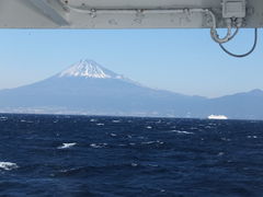 ̂񂳂̏x͘ptF[iy`^[~ijւ̓eʐ^4