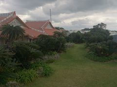 kijimunar̒뉀ւ̓eʐ^1