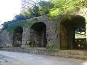 kijimunar����̋��������Ζ�̓��e�ʐ^1