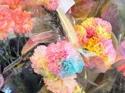 usa̓ŷ߂݊ق̓eʐ^1