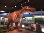 faran̋ssNȊwZ^[̓eʐ^1