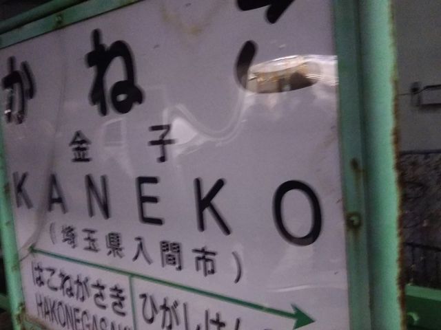 v̍Ŋw͓{qS̋qw̉D15炢łB_v