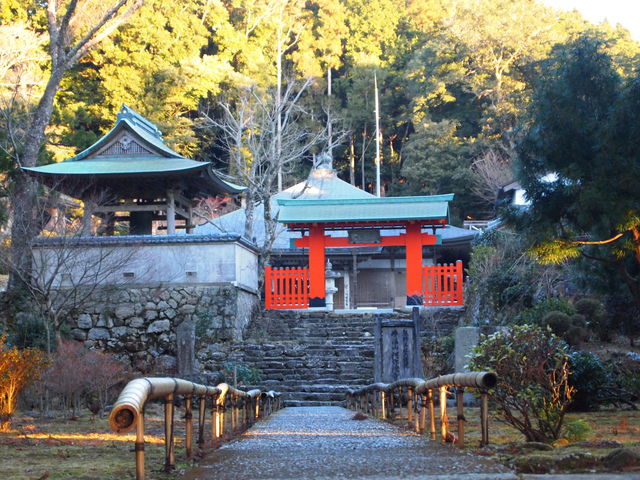 ˂񂳂̖@RɎilj̓eʐ^1