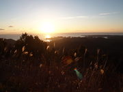 ˂񂳂̓ߒqR炵̓eʐ^1