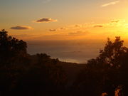 ˂񂳂̓ߒqR炵̓eʐ^2